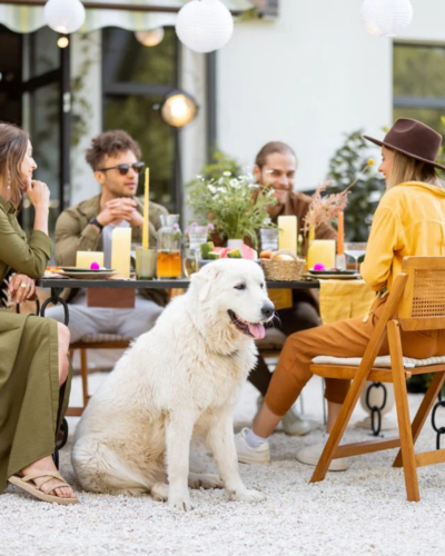 Meyer’s Tails Up Farm patio dog training class teaching dogs to behave at restaurants and breweries in Belvidere Illinois